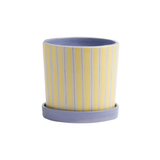 Ray Planter | Fleux | 6