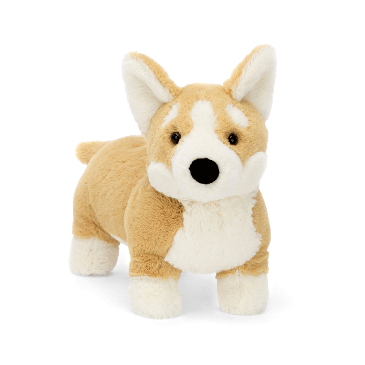 Corgi Peluche Corgi Betty - Jellycat | Fleux