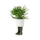 Pot / Planter Wellington Small - Green | Fleux | 4