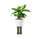 Pot / Planter Wellington Small - Green | Fleux | 3