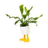Duck Feet Pot / Planter - Yellow &amp; White | Fleux | 3