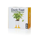 Duck Feet Pot / Planter - Yellow &amp; White | Fleux | 4
