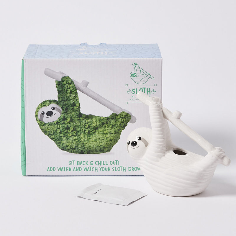 Chia Pot / Planter - Sloth