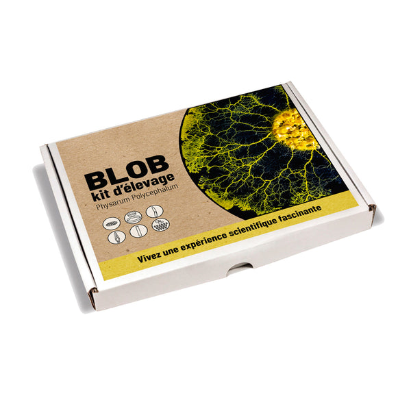 Blob Breeding Kit 