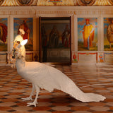 Resin Peacock lamp - l 100 x L 29 xh 69 cm | Fleux | 9