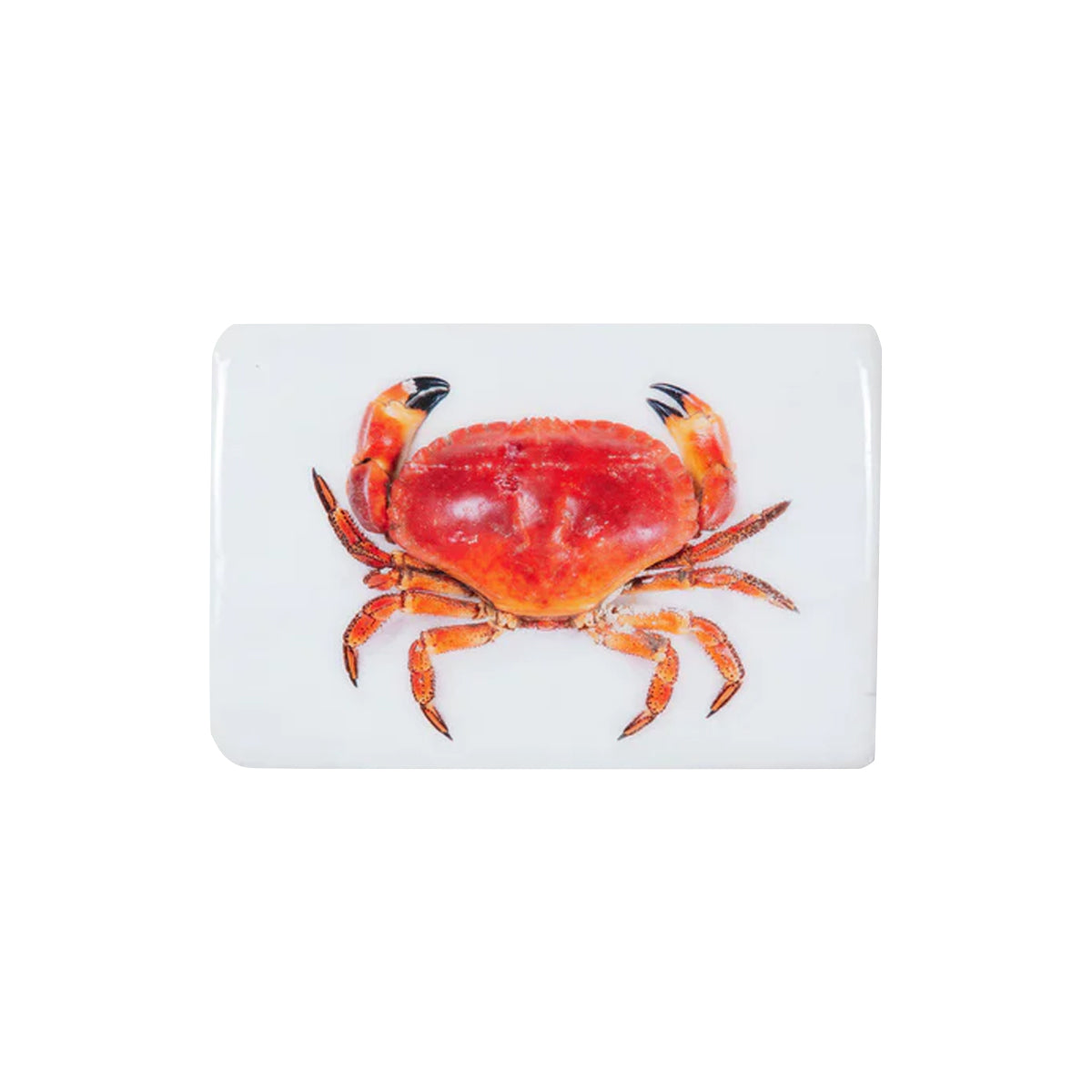 crabe portugais - 29 x 20 cm - stigerwoods
