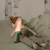 Lampe Portable - Zoo Dino | Fleux | 21