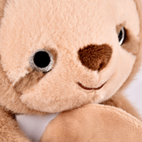 Peluche Podcoll - Paresseux 30cm | Fleux | 20
