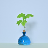 Vase en verre pour gland Cosmic | Fleux | 11