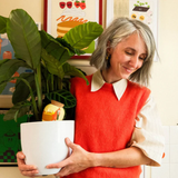 Diffuseur d'eau naturel Olla | Fleux | 52