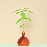 Vase en verre pour gland | Fleux | 9