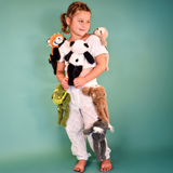 Peluche Podcoll - Koala Magnétique 30cm | Fleux | 24