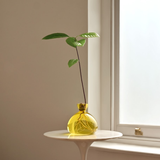 Vase en verre pour gland | Fleux | 11