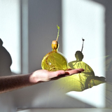 Vase en verre pour gland | Fleux | 12