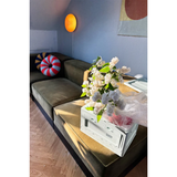 Box Studio About - Mint | Fleux | 23