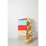 Box Studio About - Light Yellow | Fleux | 23