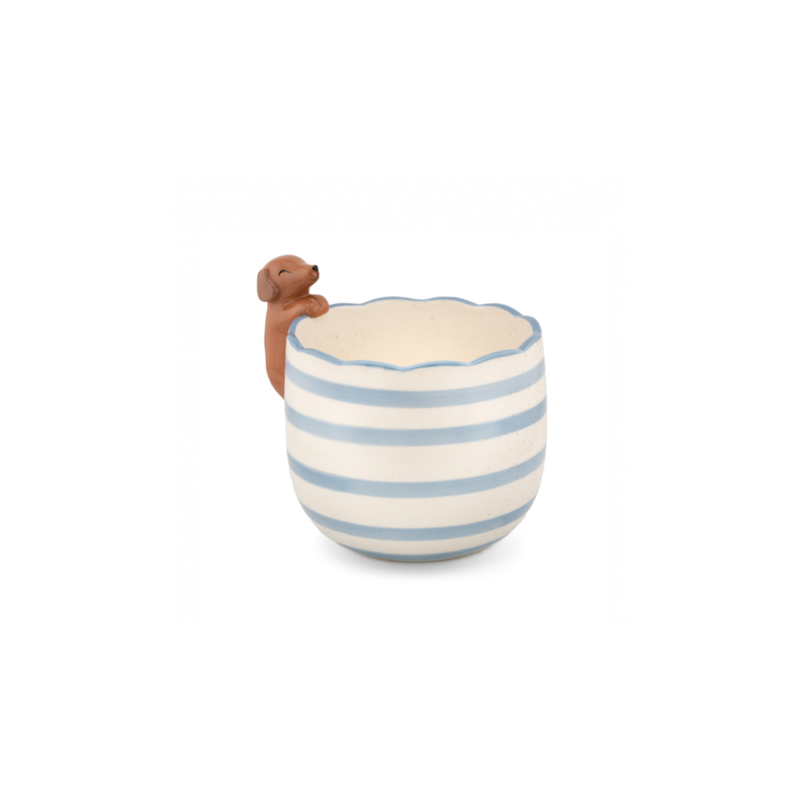 Pot peeking Sausage Dog