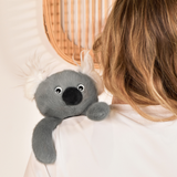 Peluche Podcoll - Koala Magnétique 30cm | Fleux | 14