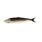 Plateau allongé Sardine Grise | Fleux | 2