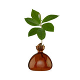Glass vase for avocado | Fleux | 22