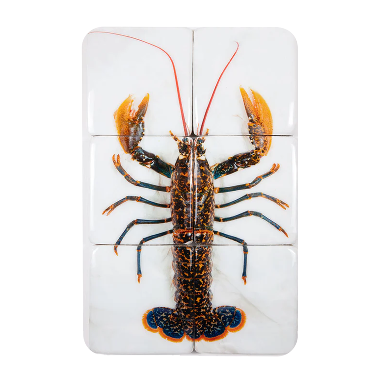 Portuguese Lobster Wall Decor - 40 x 60 cm 