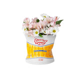 Vase Chips | Fleux | 3