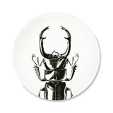 Flat plate - Scarab | Fleux | 4