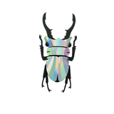 Paper beetle | Fleux | 2