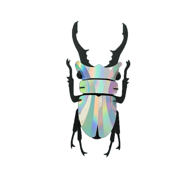 Paper beetle