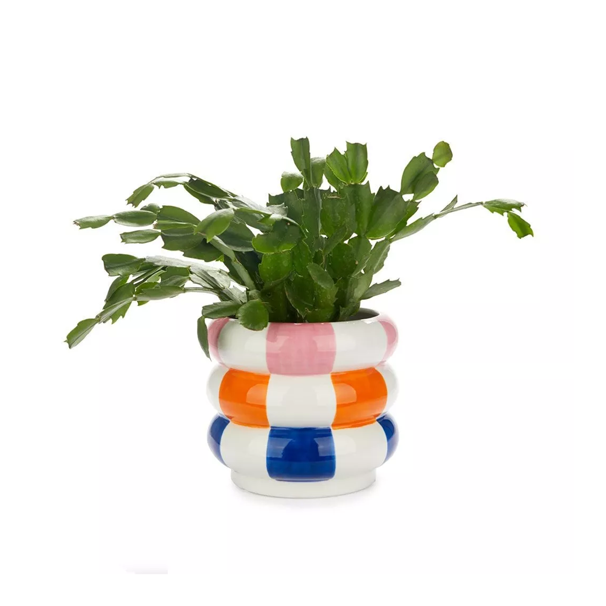 Pot De Fleurs Dotty Nordring - Déco Rétro Colorée En Céramique Craquelée (15,5 Cm, Vert)