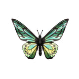 Trophée Origami Papillon Birdwing - Vert | Fleux | 2