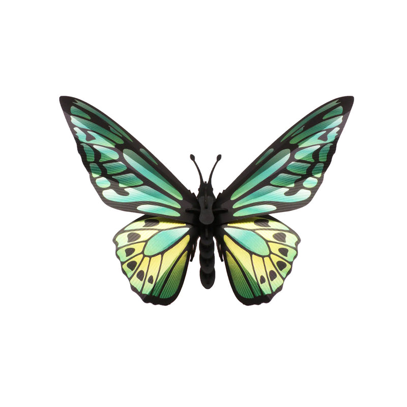 Origami Butterfly Birdwing Trophy - Green