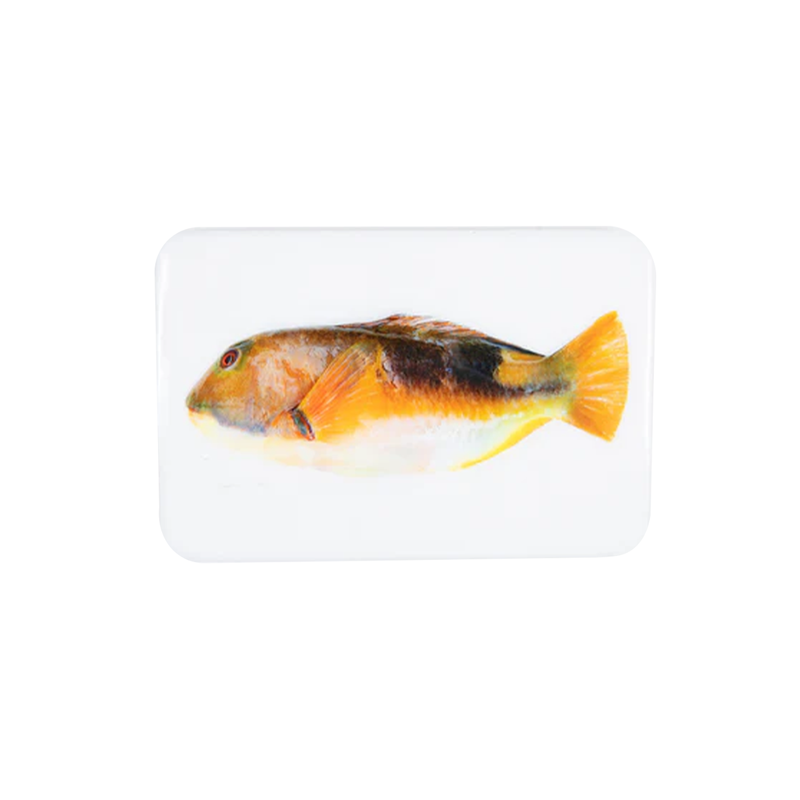 Orange Parrotfish Wall Decor - 29 x 20 cm 