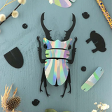 Paper beetle | Fleux | 3