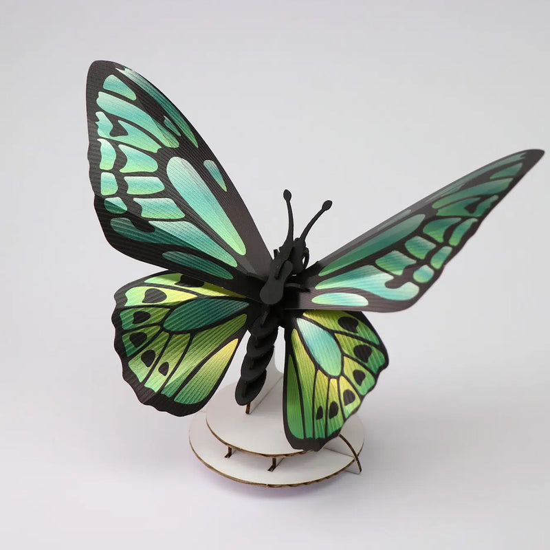 Trophée Origami Papillon Birdwing - Vert