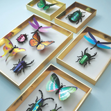 Paper Insect Set | Fleux | 3