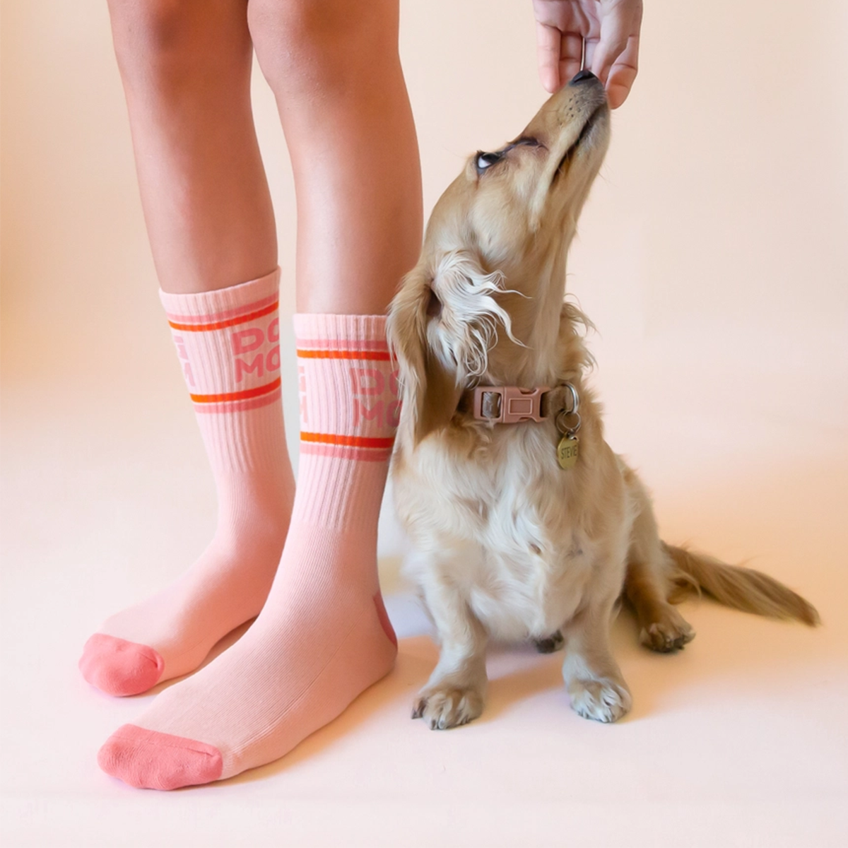 Chaussettes Douces Automnales - Atelier Bordelais