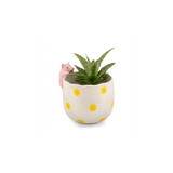 Pot peeking Pig | Fleux | 8