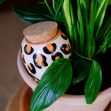 Diffuseur d'eau naturel Olla | Fleux | 33