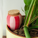 Diffuseur d'eau naturel Olla - Rayé | Fleux | 10