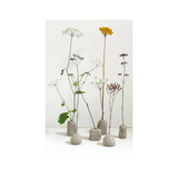 Jouer avec les fleurs - Hachette Pratique | Fleux | 9