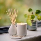 Bougie parfumée - Nordic Cedar | Fleux | 6