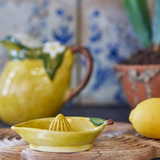 Limone citrus juicer | Fleux | 10