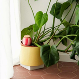 Diffuseur d'eau naturel Olla - Rayé | Fleux | 11