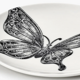 Assiette à pain - butterfly unity blanc | Fleux | 8