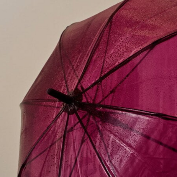 Parapluie Canopy