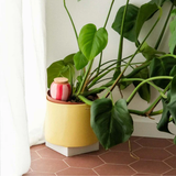 Diffuseur d'eau naturel Olla | Fleux | 57