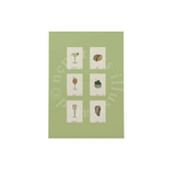 Affiche A3 Sips & Snacks - Green | Fleux | 4