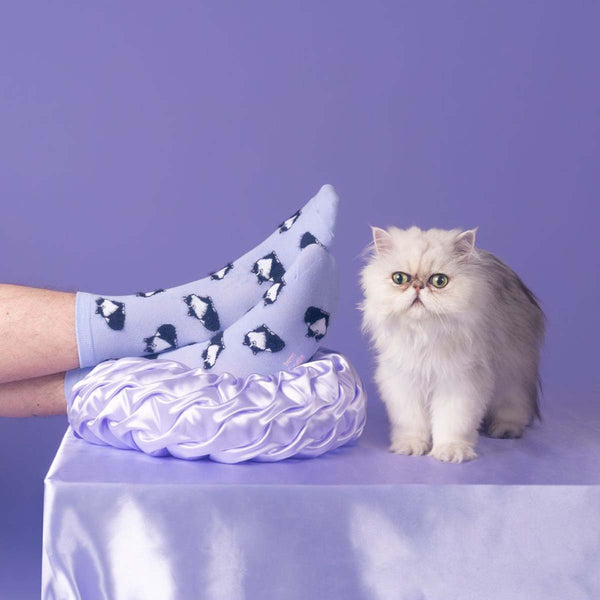 Chaussettes Chat Noir & Blanc - Violet