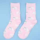 Chaussettes Chat Persan - Rose | Fleux | 9